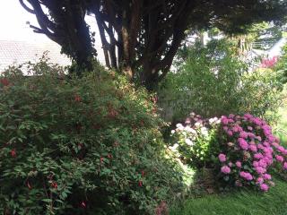 Relaxing historic Roncon's Villa, The Paddock - 7