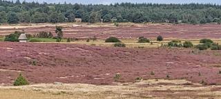 Casa-Flores, um"Schwarzes Gold" zu erkunden - 1