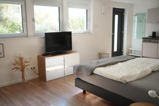 Modern, stylish & close to Karlsruhe - 1