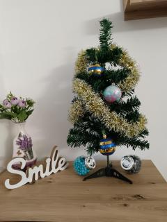 Viva apartment in condominium - 9