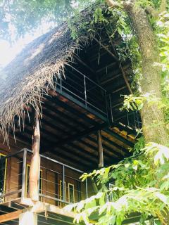Habarana Tree House - Ivory cottage - 6