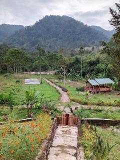 Bukit Lawang - Batu Kapal Rimba House - 9