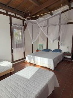 Bungalow Nature Plage Surf Helleux - 1