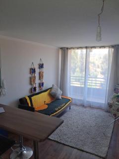 Departamento 1 dormitorio - 1