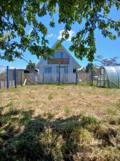 Cabaña de campo, Puacura - Castro - 1