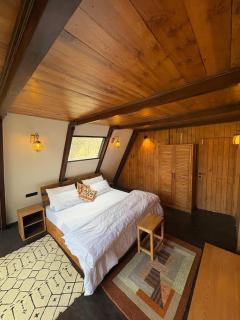 Mysa, A-frame cottage - 3