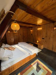 Mysa, A-frame cottage - 6