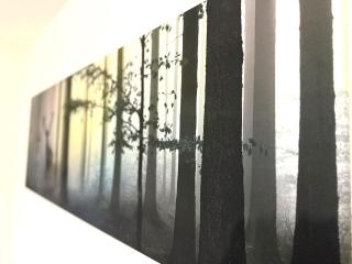 Natur-Apartment am Großen Arber Netflix WIFI - 9