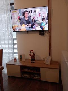 Vila Bosa - Stara planina - 3