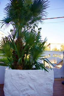 Ilio Boutique Swim Up Rooms - 6