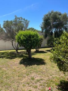 VILLA 250m2 Montpellier Sete Palavas - 9