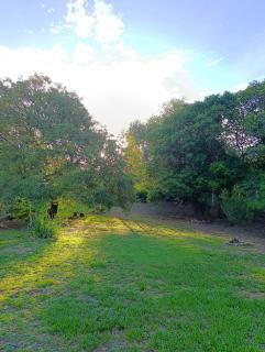 Casa en centro de Icho Cruz - 1