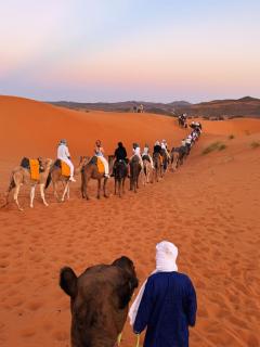 Fabulous Luxury Camp - 4