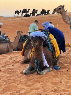 Fabulous Luxury Camp - 5