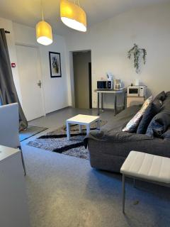 CHAMBRE TWIN PROCHE de LA GARE - Langeac - 8