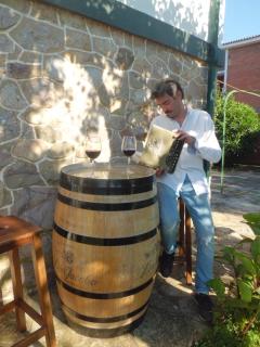 Chalet with garden, barbecue and pool in Logroño - 4