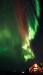 Vestra-Fíflholt - 1