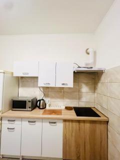 Big apartment in Brandýs nad Labem - 5