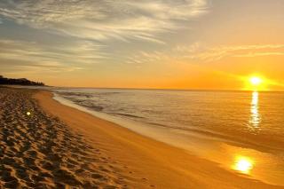 All-Inclusive Beach Casa between two 5-Star Hotels - 8