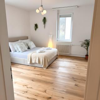 Gemütliche und geräumige 2,5 Zimmer Wohnung mit kostenlosem Parkplatz - St. Gallen - 2