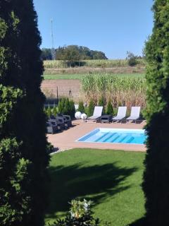 Green Garden Zielonki 14d - 9