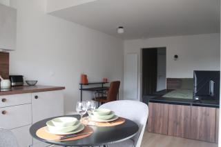 Appartement Le nid sur l'Ain - 6