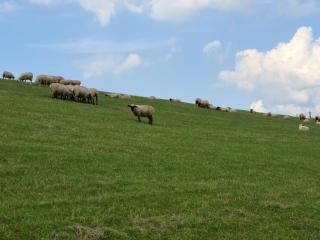 Haus Lüchtje Jade - 6