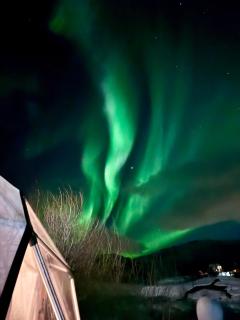 Storjord Farmstay Glamping - 9