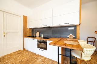 Luxury Design Apartment Palackého Residence - 8