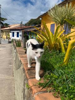 Casa Oceano - Arraial D'Ajuda Pool House - 5