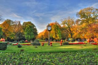 Downtown Vintage Chic Apartment - 1