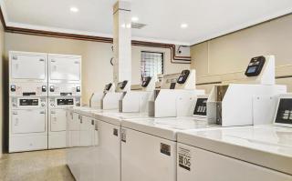 A Tranquil Retreat in Tarzana CA - 2