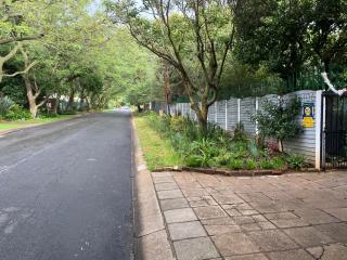 Singing Birds Guest 2 - 9