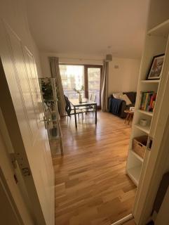 Apartment near 3Arena and Dublin Port - 3