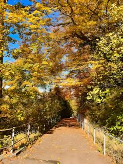 Zentrales Apartment St Gallen an der Olma - 1