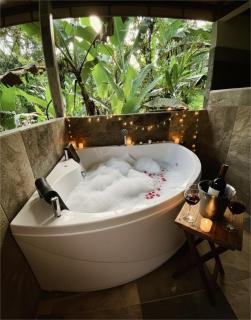 Arenal Rústic Lodge - 9