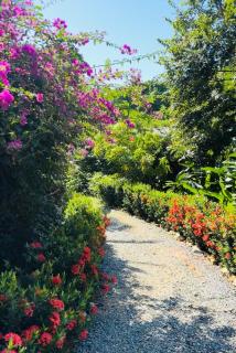 Villa Casa Familia with private pool - 5 min walk to West Bay beach - 6