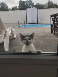 Apartman Todorović - 6