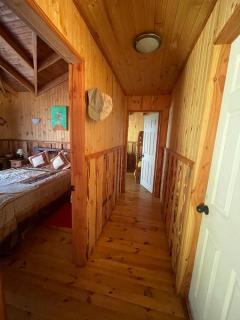 Cabaña BANDURRIA - 3