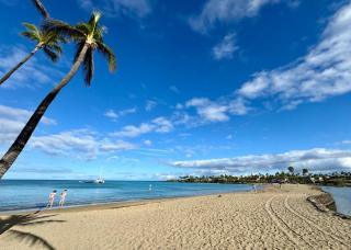 1bd/1.5 ba sleep 4 paradise near Waikoloa Beach - 9