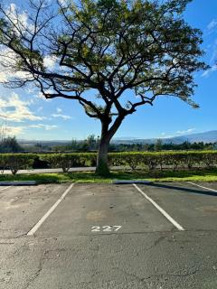 1bd/1.5 ba sleep 4 paradise near Waikoloa Beach - 1