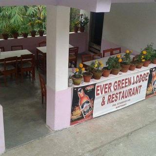 Hotel evergreen lodge - 9