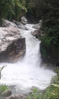 Hotel evergreen lodge - 5