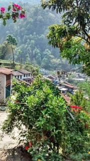 Hotel evergreen lodge - 3