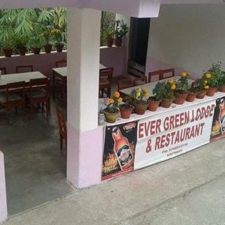 Hotel evergreen lodge - 1