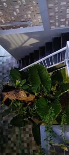 Guest House Djumah Damai - 7