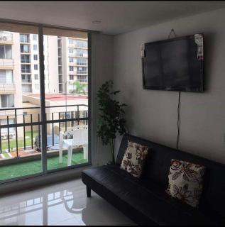 Caranday, Las Palmas - 2