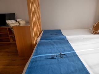 桜の川11 池袋駅 7分 2-4人丨Ikebukuro 7 minutes 2-4 people - Tokio - 7