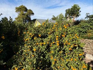 침실2개, 욕실2개, 4인 가족까지 가능한 아늑한 30평 독채, 도예체험 가능 - 2