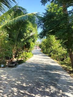 Green moon Home stay 52 - 6